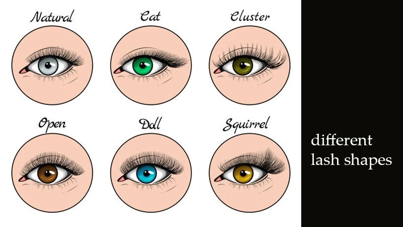 lash-shapes lash-shapes
